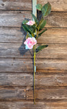 Peppermint Camellia Spray, 29", Pink