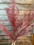 PHOENIX TAIL FERN, 28", Burgundy