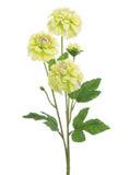 Mini Dahlia Spray, 25", Pale Green
