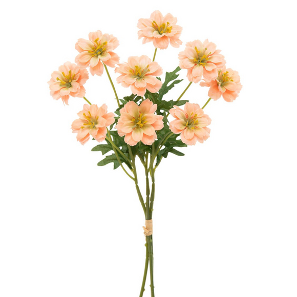 Coreopsis Bundle of 3, 7