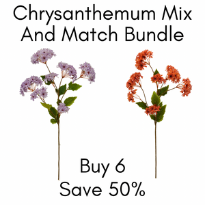 Chrysanthemum Bundle