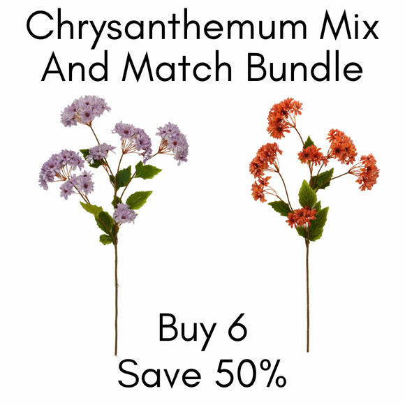 Chrysanthemum Bundle