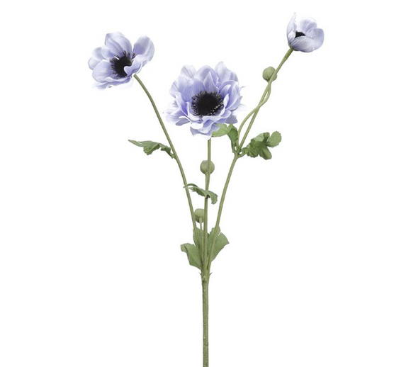 Helio Anemone Spray