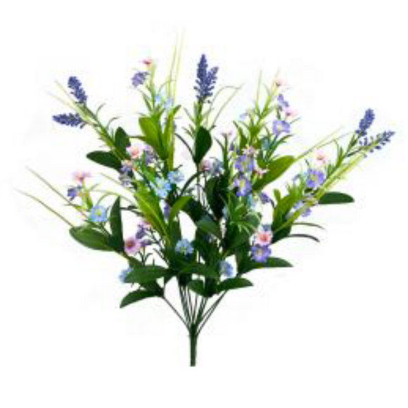 Blue Pink Astilbe Filler Bush