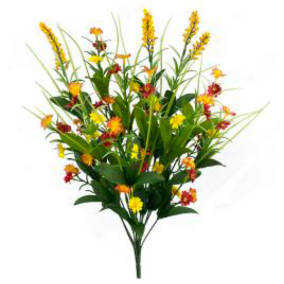 Orange Yellow Astilbe Filler Bush