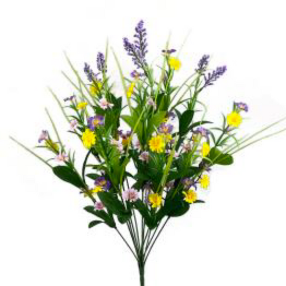 Purple Yellow Astilbe Filler Bush