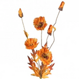 Spray of orange colored leaves