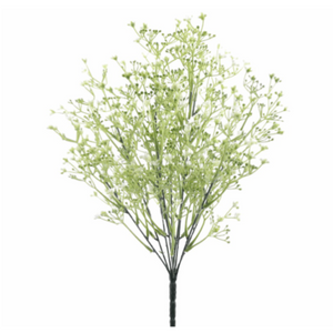 White Baby's Breath Bush