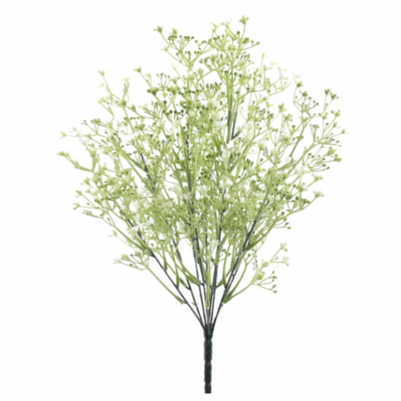 White Baby's Breath Bush