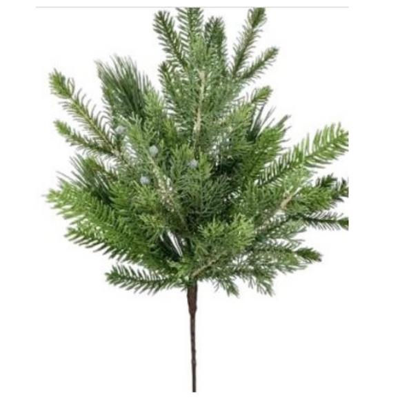  Green Belgium Pine Spray 
