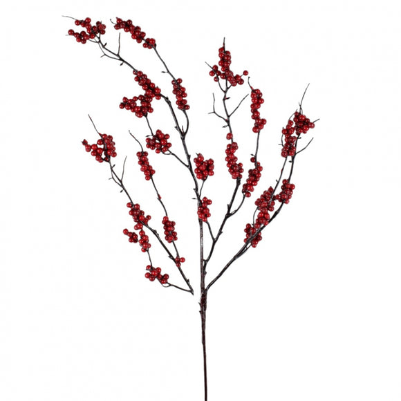  Red Berry Branch 