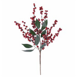 Red Green Berry Leaves Pick