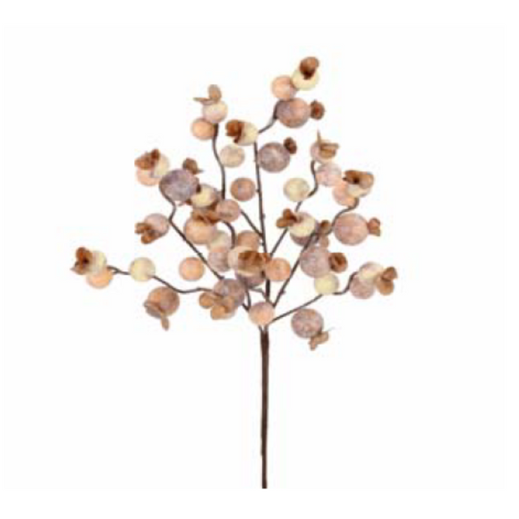 Brown Cream Berry Pick