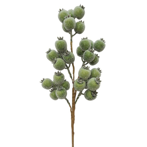  Green Berry Spray 