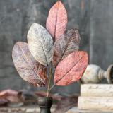 Multi Bespoke Magnolia Pick