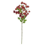 Burgundy Buttercup Spray