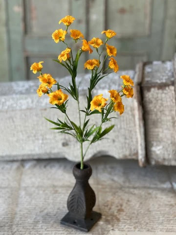 Cannikin Flower Spray, 20
