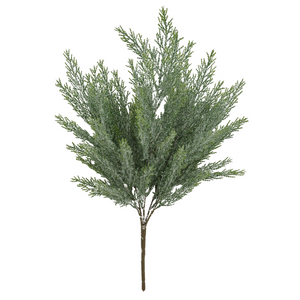Green Cedar Bush x 5