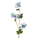 Blue Columbine Spray
