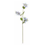 Lavender Cream Columbine Spray