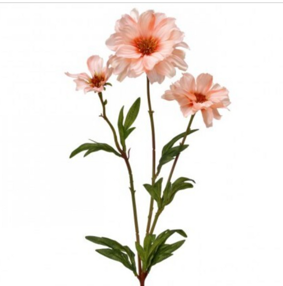 Blush Pink Cosmos Spray
