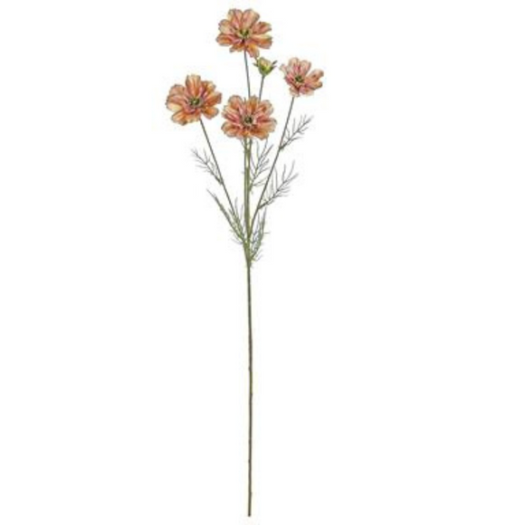 Mocha Rose (Rosy Brown) Cosmos Spray