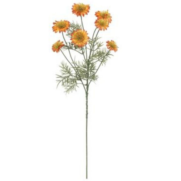 Orange Cosmos Spray