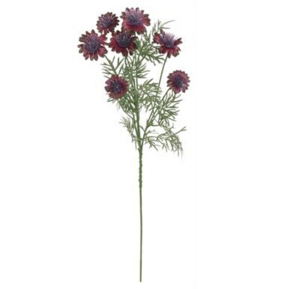 Plum Cosmos Spray