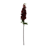 Burgundy Delphinium Spray
