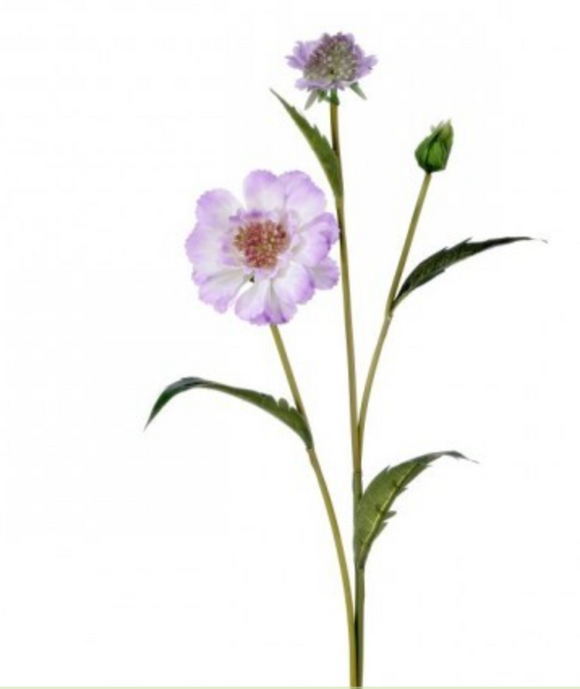 Lavender Double Scabiosa Spray