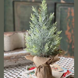 Medium fur tree with burlap base