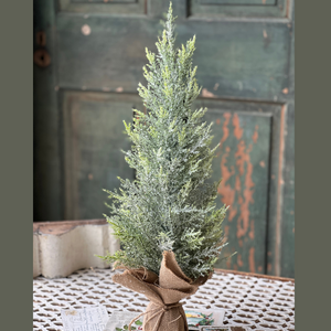 12" fir tree with burlap base