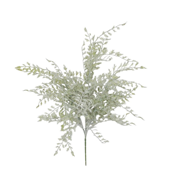  Green White Frosted Leaf Bush 