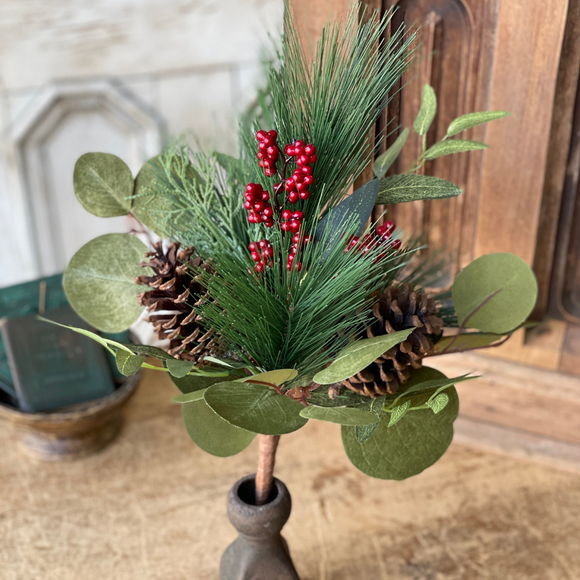 Stem of pine and eucalyptus with a pine cone and berries