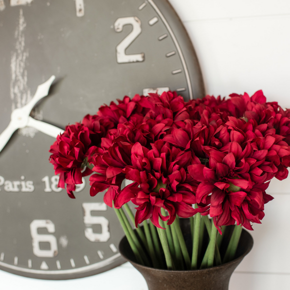 Scarlett Gerbera Daisy Stem