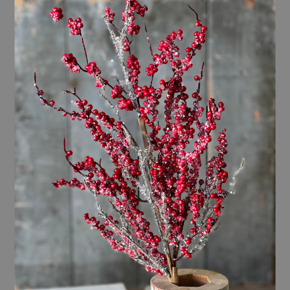 Stem oof icy red berries