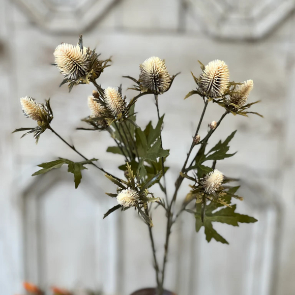  Cream Gomphrena Spray 