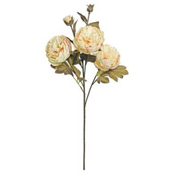Candlelight Harvest Peony Spray With Buds
