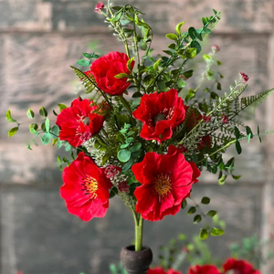Red poppy bush