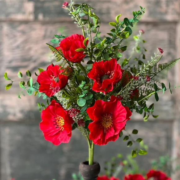 Red poppy bush