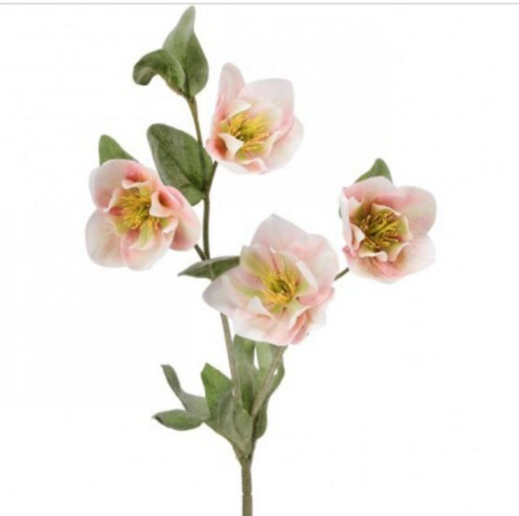 Cream Pink Hellebores Spray