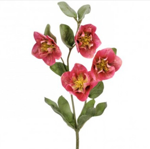 Rose Hellebores Spray