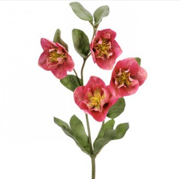 Rose Hellebores Spray