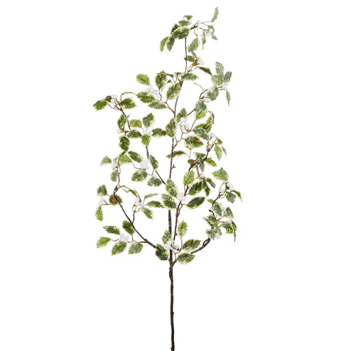  Green Red Iced Mixed Holly Branch 