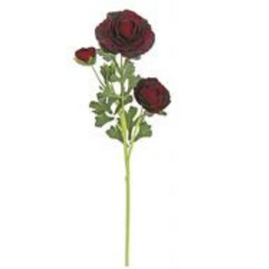 Burgundy Red Jumbo Ranunculus  Spray