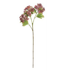 Merlot Lacecap Hydrangea Spray