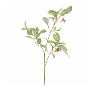 Natural Leaf Berry Spray