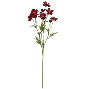 Burgundy Mini Cosmos Spray