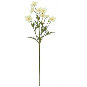 Candlelight Mini Cosmos Spray