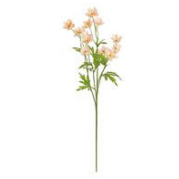 Peach Mini Cosmos Spray